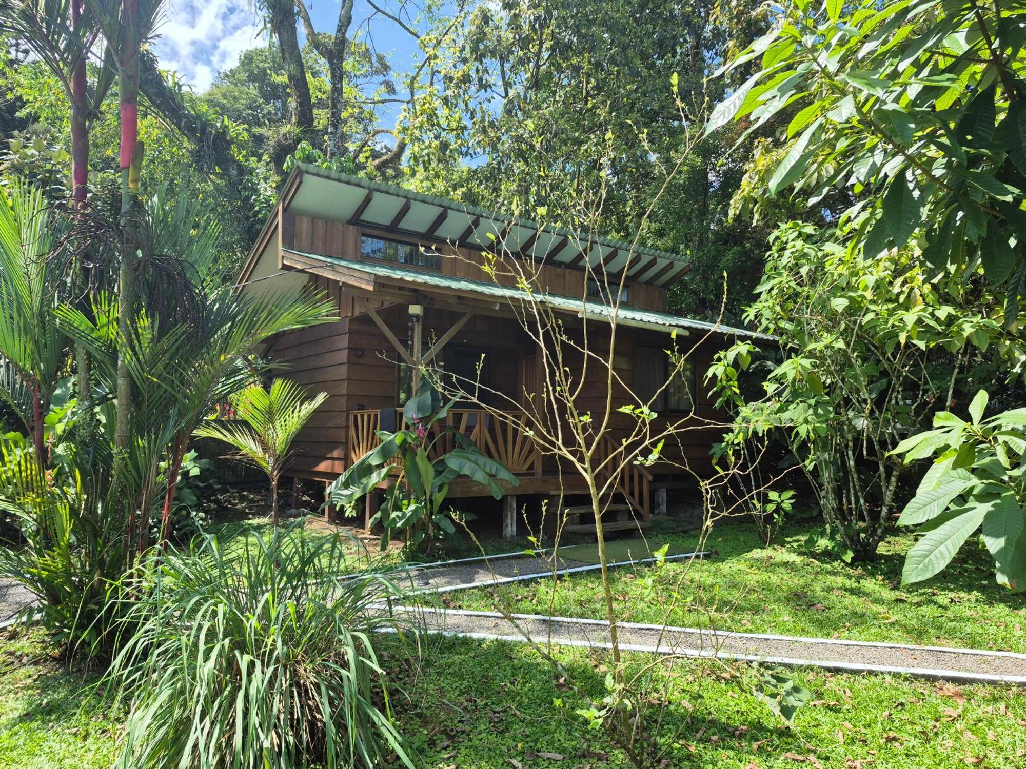 Bed and Breakfast Centro Ananda Guápiles Exterior foto